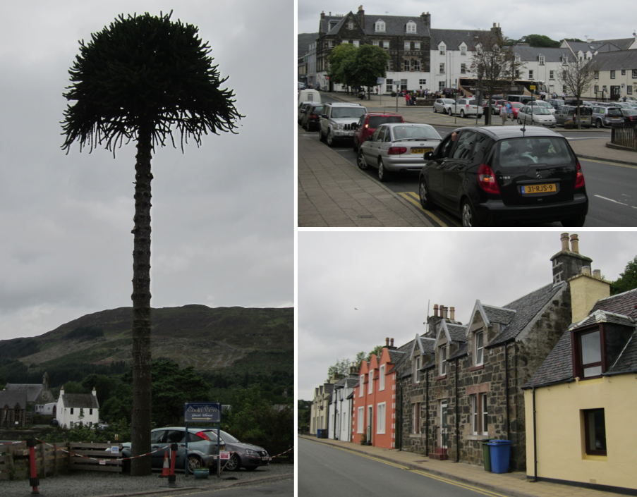 portree_div.bilder