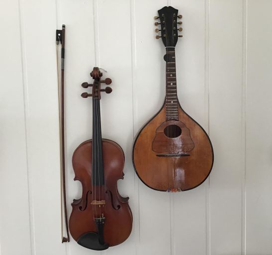 fiolin_mandolin